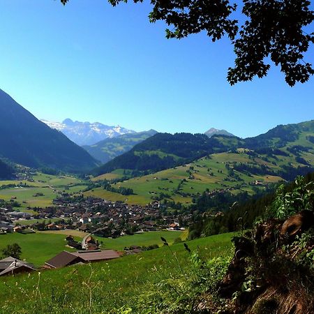 Sonnegg Hotel Zweisimmen Dış mekan fotoğraf