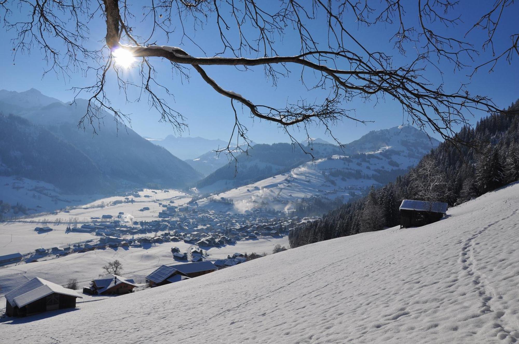 Sonnegg Hotel Zweisimmen Dış mekan fotoğraf