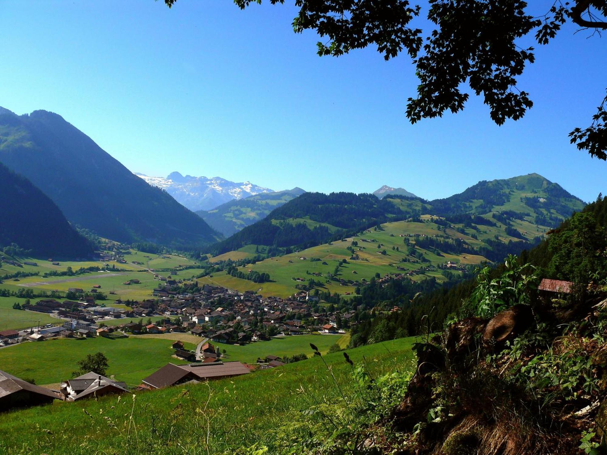 Sonnegg Hotel Zweisimmen Dış mekan fotoğraf