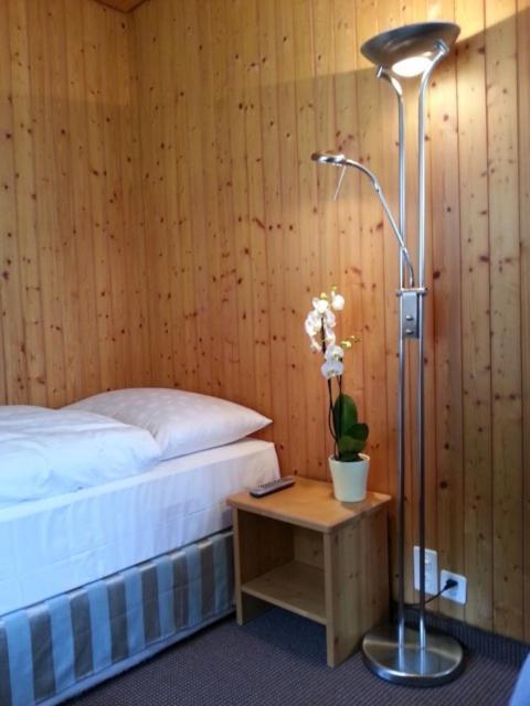 Sonnegg Hotel Zweisimmen Dış mekan fotoğraf